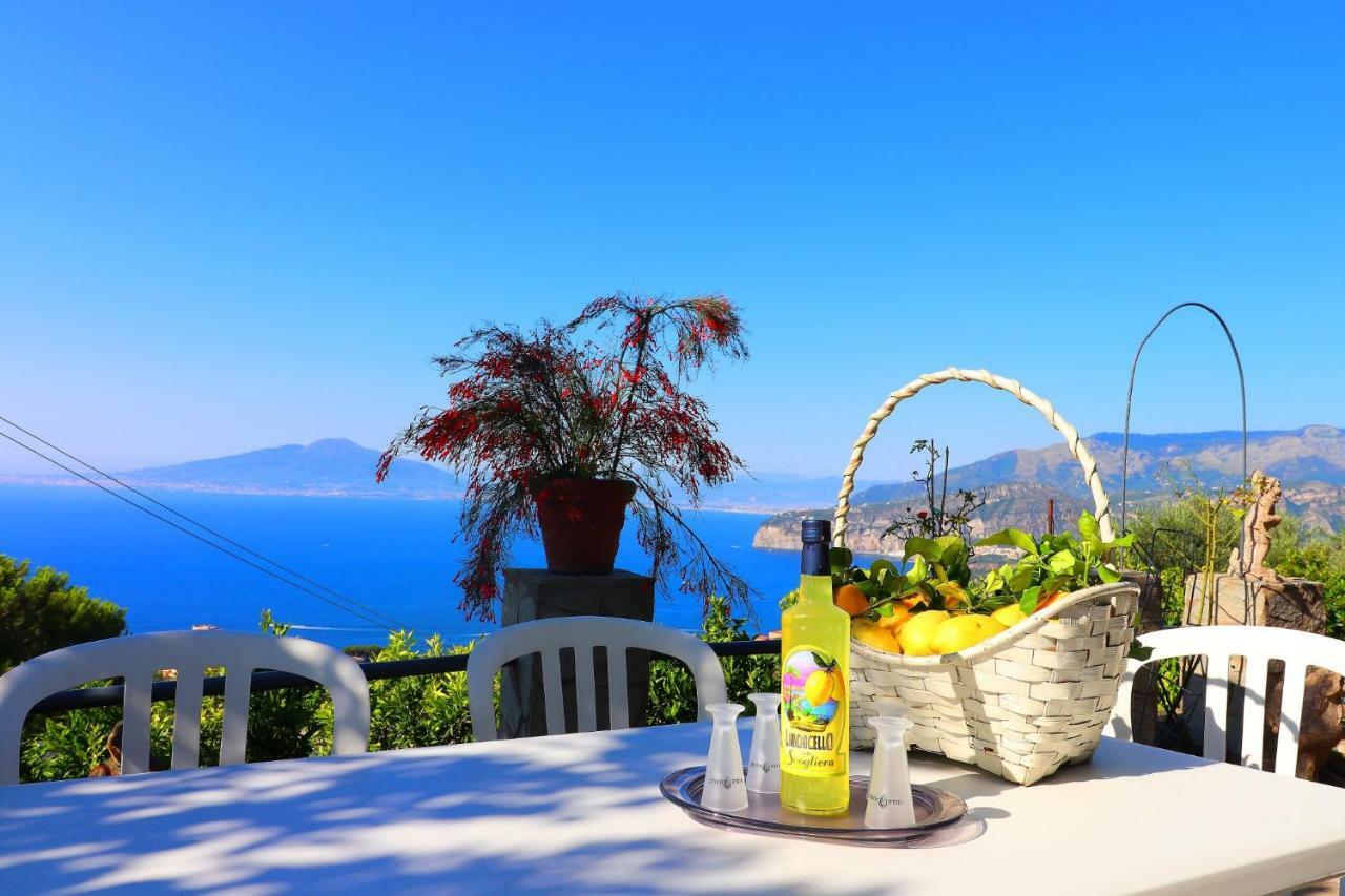 La Rosa Del Sud - De Vivo Realty Apartment Sorrento