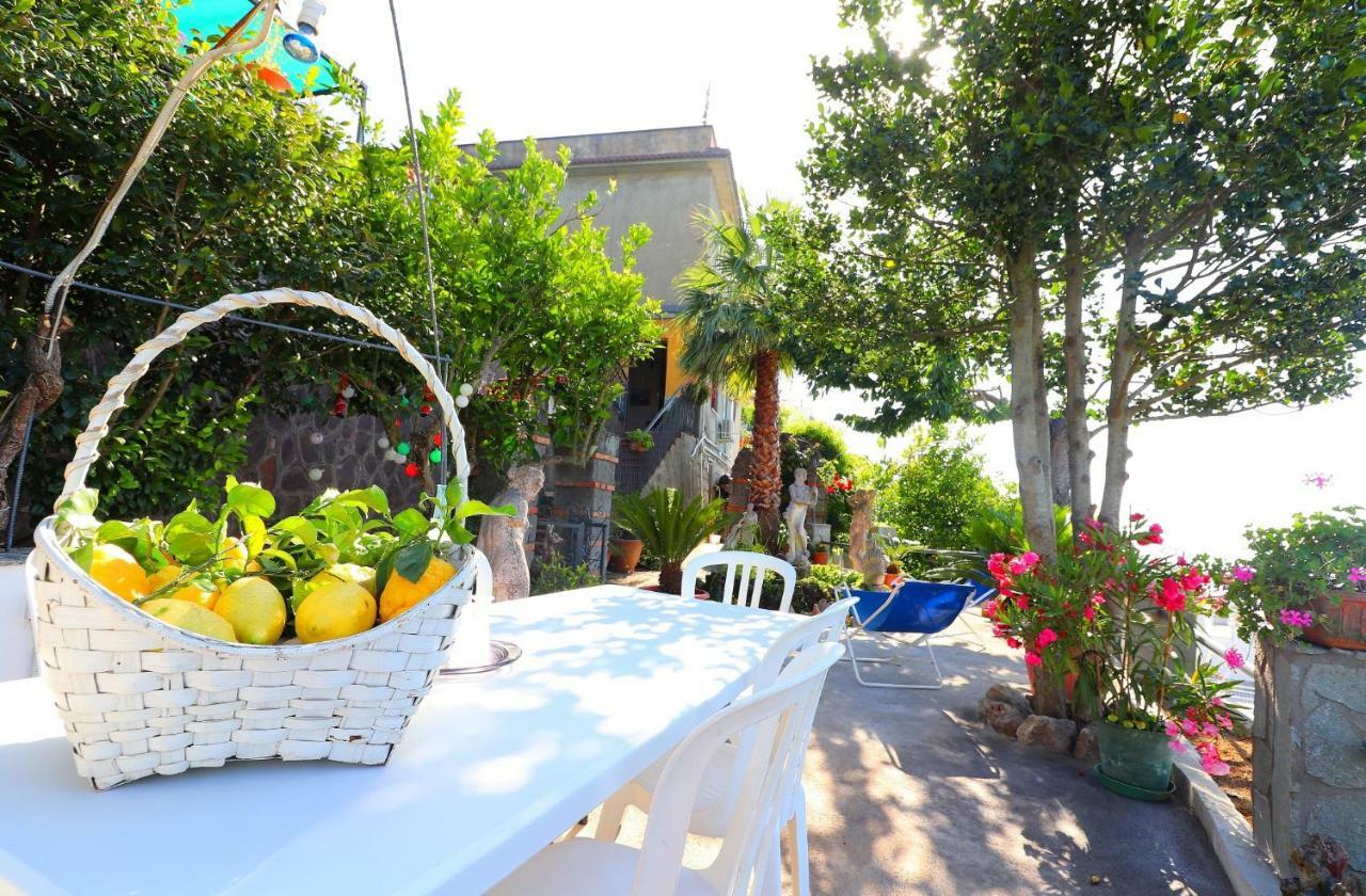 Apartment La Rosa Del Sud - De Vivo Realty